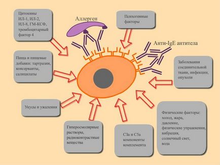 Angioneurotikus ödéma, a gége és a torok fotók, tünetek