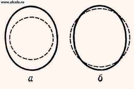 Anisotropy Encyclopedia TSB