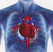 Аритмія і брадикардія - лікування серця