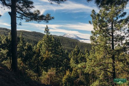 Traseul auto spre vulcan teide prin aro, vilaflor și orotava