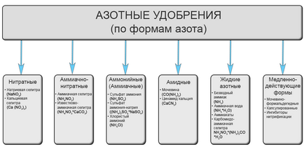 Азотні добрива, їх значення і застосування, види і користь