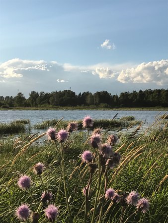 База відпочинку Торбеєво озеро (Березняки) - відгуки, фото і порівняння