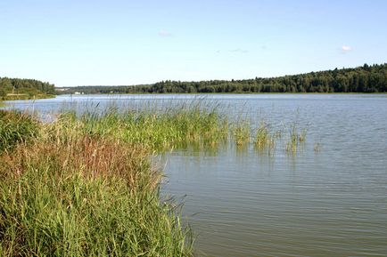 База відпочинку Торбеєво озеро - ціни, відгуки, контактна інформація та послуги