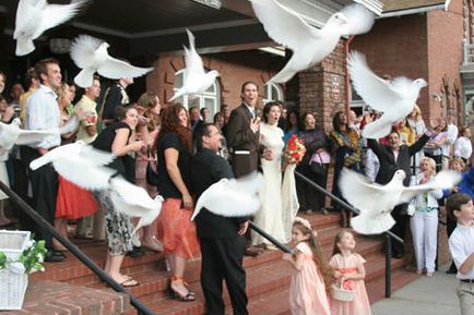 Білі голуби на весілля, ювілей і торжество