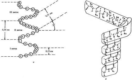 Structura proteinei primare a proteinelor, schema de formare a tripeptidelor