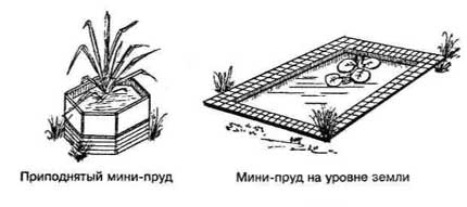 Бетонний ставок створення своїми руками