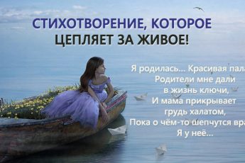 Kóbor kutya egész éjjel melegítjük baba, akinek „anya” dobta ki a hideg - minden érdekes (anya) Kóbor kutya egész éjjel melegítjük baba, akinek „anya” dobta ki a hideg - minden érdekes