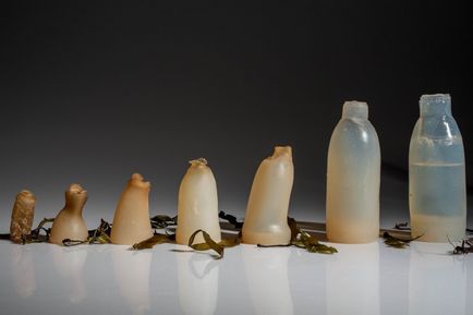 Sticle de alge biodegradabile - o alternativă verde la materialele plastice - un digest pentru mediu