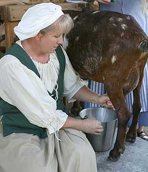 Üzleti eladó tej kecsketej (tej) Üzleti eladó tej kecsketej
