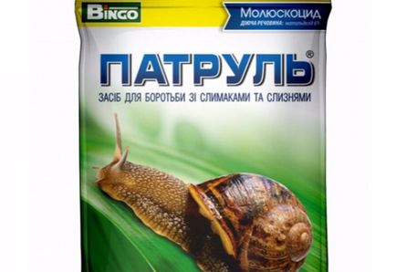 A csigák elleni küzdelem (csigák) A csigák elleni küzdelem