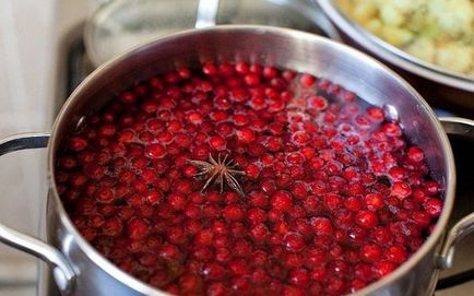 Cowberry în suc propriu pentru iarnă - rețete pentru gătit fără zahăr, printr-o juicer, video