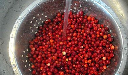 Cowberry în suc propriu pentru iarnă - rețete pentru gătit fără zahăr, printr-o juicer, video
