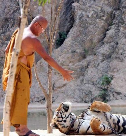 Budistă mănăstire-adăpost pentru tigrii