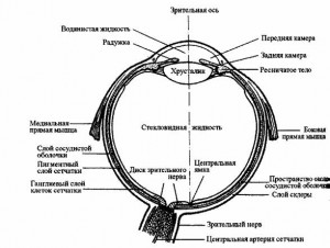 Atrofia parțială a nervului optic