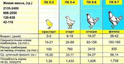 A broiler takarmány otthon, dachasadovoda