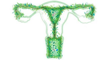 Ce diferențiază vaginita bacteriană de vaginită