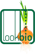 Що потрібно привозити з Хорватії, lookbio журнал для тих, хто шукає bio