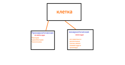 Seminarul citologic este primul