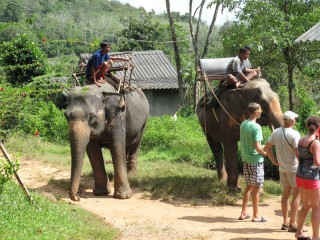 Scufundări în Phuket! Aflați scufundări în Phuket! Scufundări în Thailanda! Scufundări în