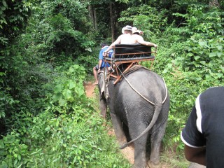 Scufundări în Phuket! Aflați scufundări în Phuket! Scufundări în Thailanda! Scufundări în