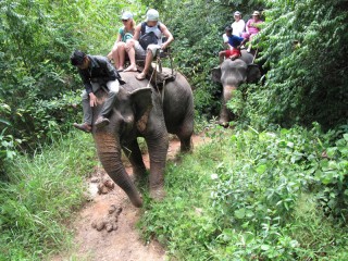 Búvárkodás Phuket! Búvárkodás képzés Phuket! Búvárkodás Thaiföldön! dayvigngu oktatás