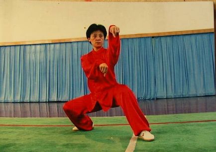 Tíz stílusok kínai Kung Fu (Wushu)