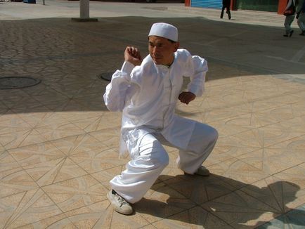 Tíz stílusok kínai Kung Fu (Wushu)