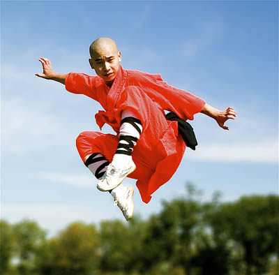 Tíz stílusok kínai Kung Fu (Wushu)
