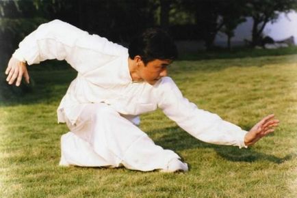 Tíz stílusok kínai Kung Fu (Wushu)