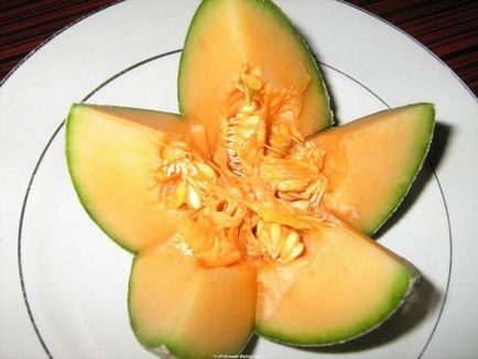 Melonul Etiopia se caracterizează prin cultivare și îngrijire