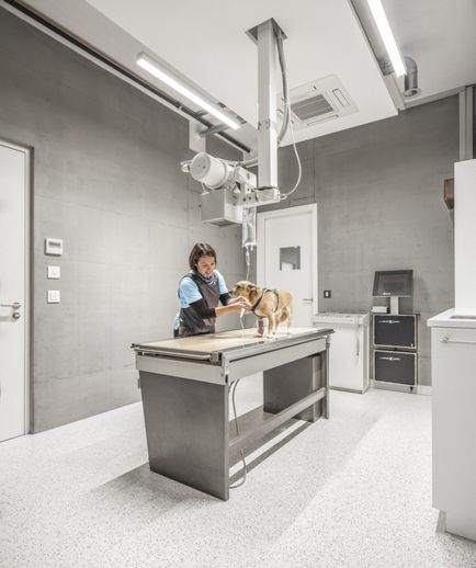 Design interior în stil clasic modern - clinică veterinară