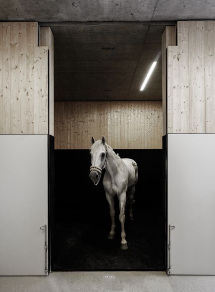 Proiectarea unei clinici veterinare pentru cai din Austria, proaspăt - cea mai bună din Runet pentru o zi!