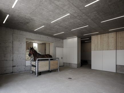 Дизайн ветеринарної клініки для коней в Австрії, fresher - найкраще з рунета за день!
