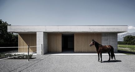 Proiectarea unei clinici veterinare pentru cai din Austria, proaspăt - cea mai bună din Runet pentru o zi!