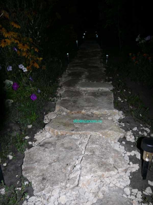 Path kő