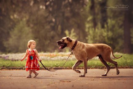Дресирування собак дітьми як навчити дитину дресирувати собаку