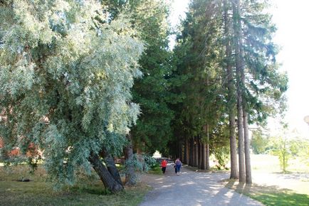 Mergem în Finlanda, noul Valaam, go2walk!