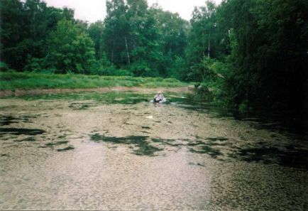 Ecobiotehnologia microzimei (tm) curățarea rezervoarelor din aluat și alge fără evacuarea iazurilor de apă