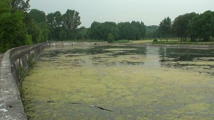 Ecobiotehnologia microzimei (tm) curățarea rezervoarelor din aluviuni și alge fără a se scurge iazurile de apă (curățarea) Ecobiotehnologia microzimei (tm) curățarea rezervoarelor din aluat și alge fără evacuarea iazurilor de apă