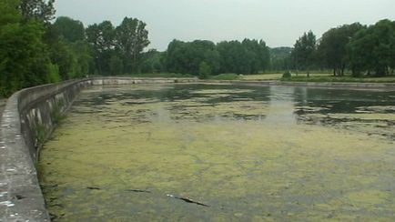 Екобіотехнологія Мікрозім (tm) очищення водойм від мулу і водоростей без спуску води ставків