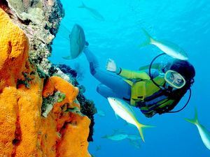 Turism extrem - cele mai bune locuri pentru scufundări