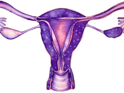 Endometrium înainte de caracteristici și funcții lunare