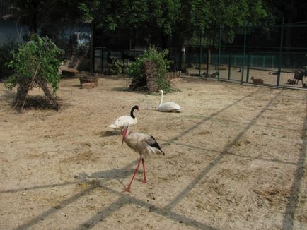 Feldman ecopark Kharkiv regiune, districtul dergachevsky, așezarea forestieră, ul