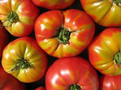 Fitosporina pentru tomate