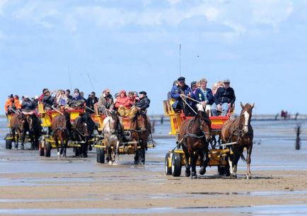 Гамбурзькі вати, національний парк в германии