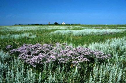 Гамбурзькі вати, національний парк в германии