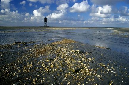 Hamburg Wattenmeer Nemzeti Park Németország