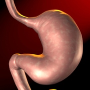 Герпес кишечника і шлунка симптоми, фото