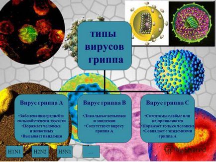 Gripa la copii, simptome și tratament la un copil 1, 2, 3 ani, Orvi, frig, prevenire