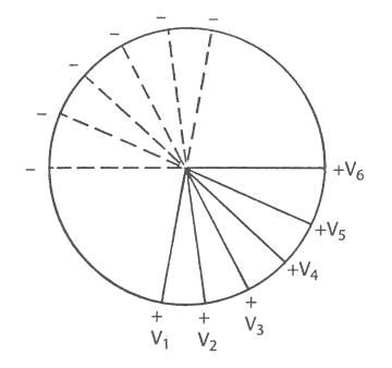 Sânul (precordial) conduce ekg